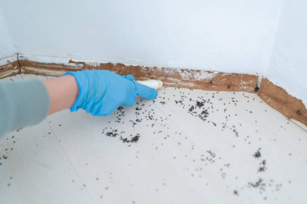 Best Pest Exclusion Services  in Whitney Point, NY